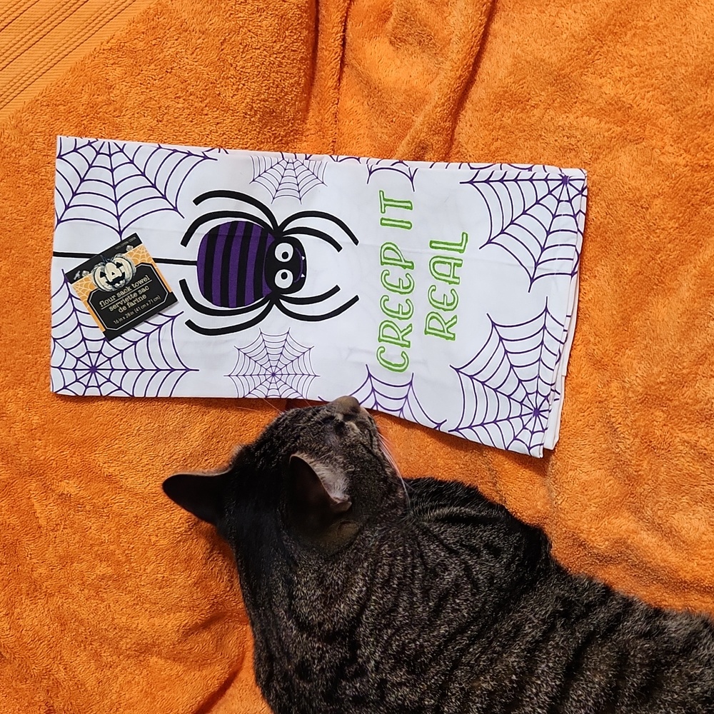Kitchen towel - Picture 5 of 5